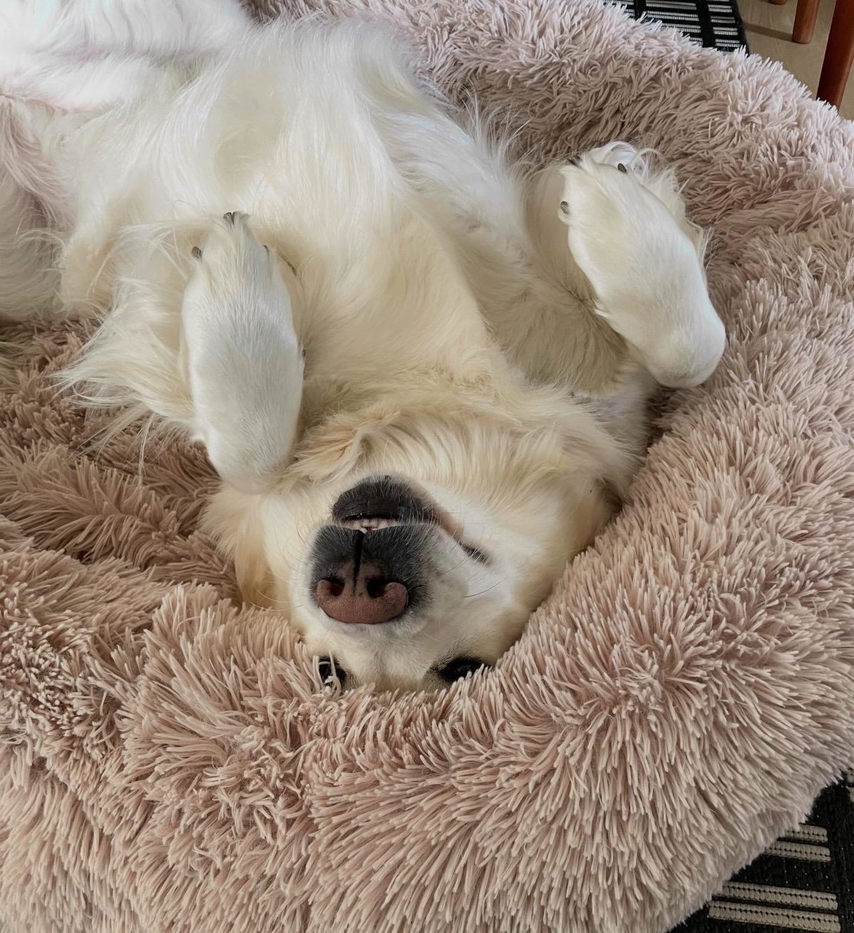 Hallo, ich bin Wilma