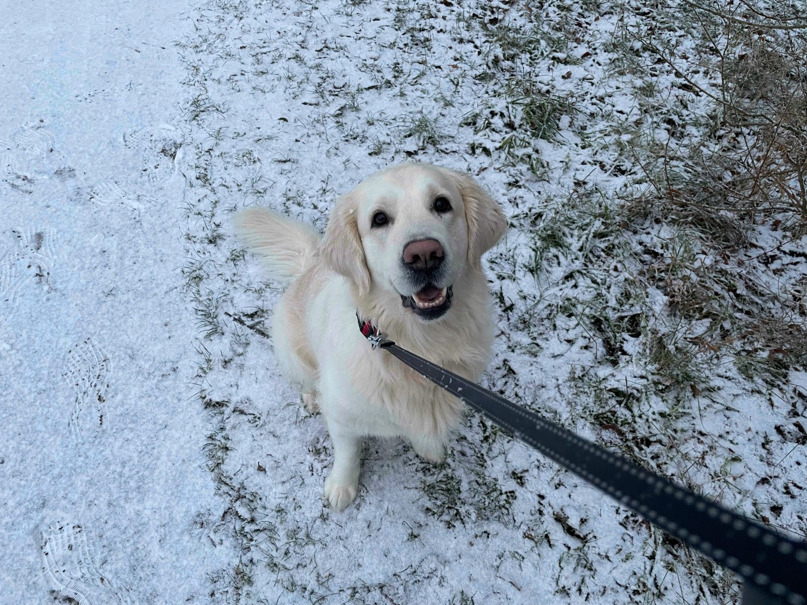 Wilma