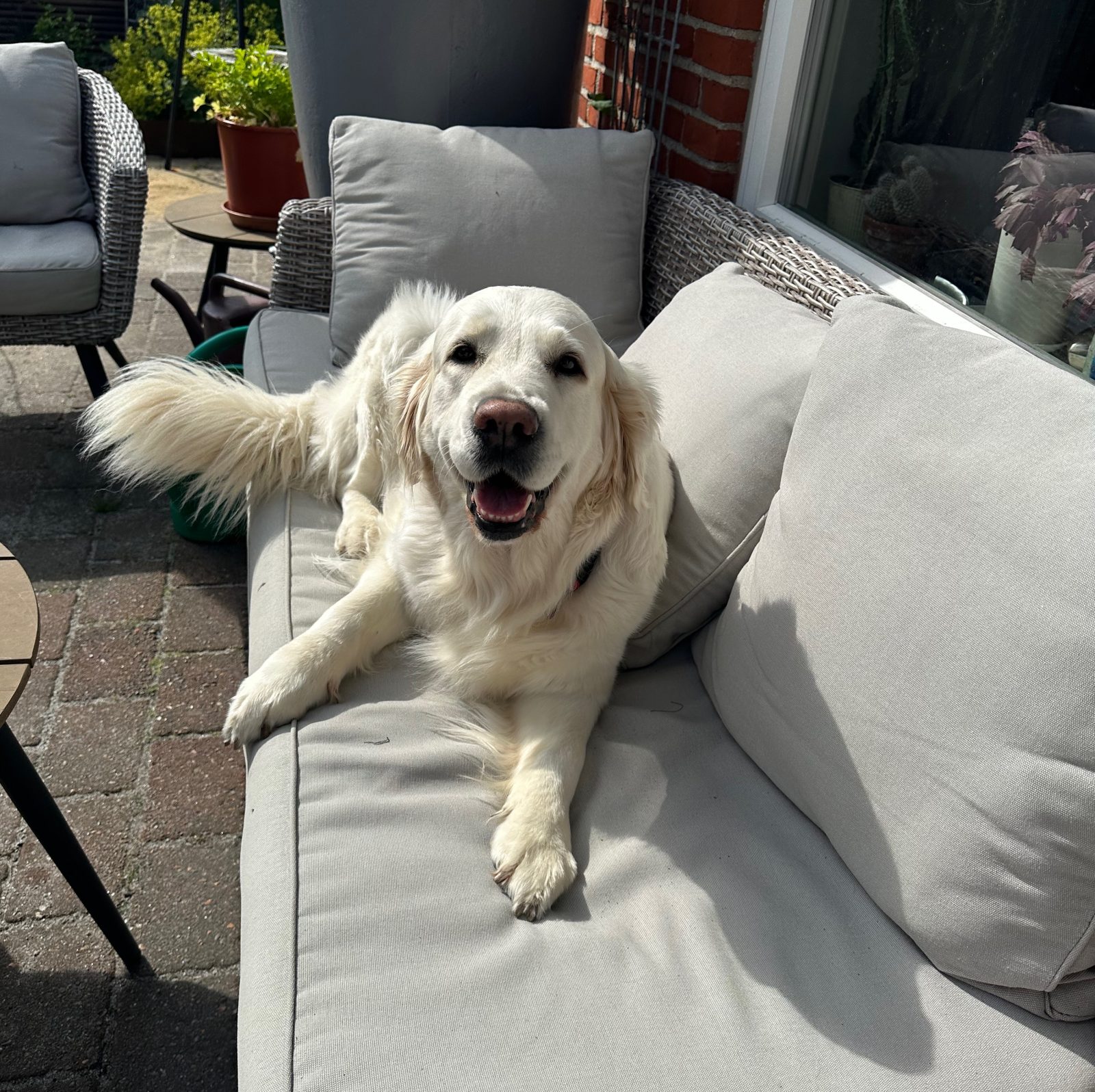 Wilma