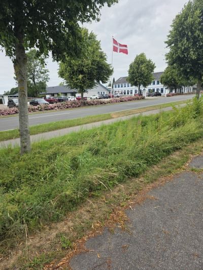 Photo of Den Gamle Grænsekro