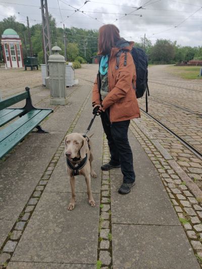 Billede af Sporvejsmuseet Skjoldenæsholm