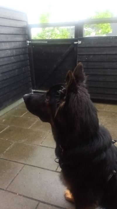 Billede fra Rold Gl. Kro – Hundekroen