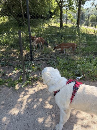 Billede af Munkholm Zoo
