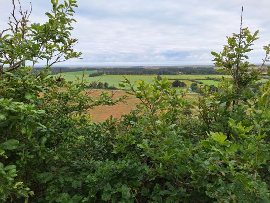 Billede af Fosdal og Langdal Plantager