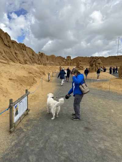 Billede af Sandskulptur Søndervig