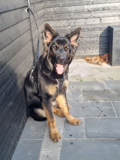 Billede fra Rold Gl. Kro – Hundekroen
