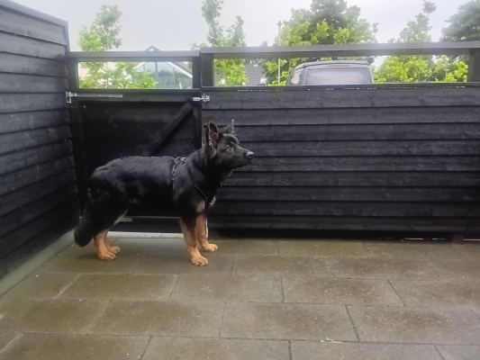 Billede fra Rold Gl. Kro – Hundekroen