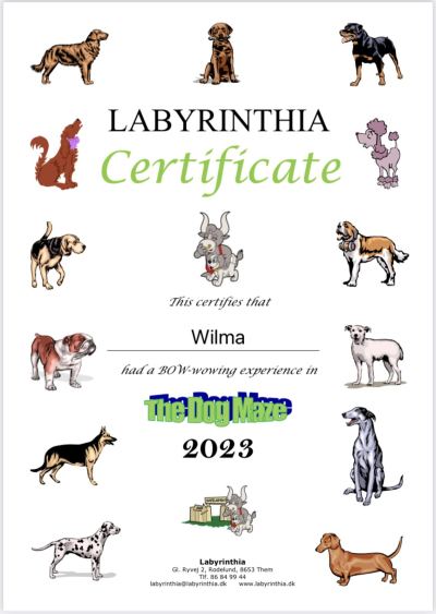 Billede af Labyrinthia